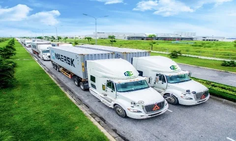 VSC mạnh tay rót hơn 80 tỷ giữ “ghế lớn” tại công ty con, gần 2,8 triệu cổ phiếu ế bất ngờ về tay 3 cá nhân