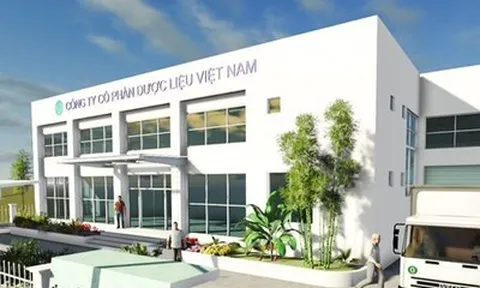 DVM “rơi tự do”: Lãi quý 1 gần như bay sạch sau một năm, chuyện gì đang xảy ra?