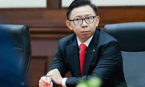 Con trai tỷ phú Phạm Nhật Vượng làm CEO công ty khai thác quặng 5.000 tỷ, Vingroup tăng tốc tham vọng thép
