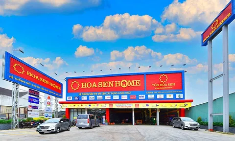 Hoa Sen Group bị Cục Hải quan xử phạt hơn 781 triệu đồng