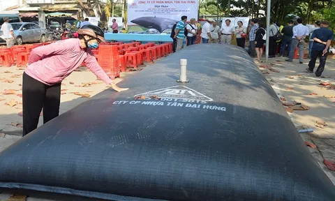 Nhựa Tân Đại Hưng: Cổ đông lớn bán dồn dập giữa lúc doanh nghiệp bị nhắc nhở và xử phạt thuế