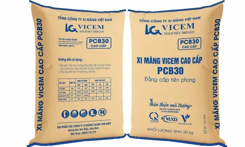 Vicem: Ba công ty con lỗ lũy kế hơn 8.100 tỷ đồng, loạt dự án nghìn tỷ tồn đọng
