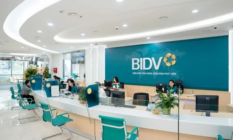 Kết luận thanh tra BIDV Bình Định: Có sai sót trong thẩm định, giải ngân và quản lý khoản vay