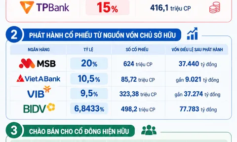 Ngân hàng ồ ạt tăng vốn: MB, MSB, TPBank… chuẩn bị tung hàng tỷ cổ phiếu ra thị trường