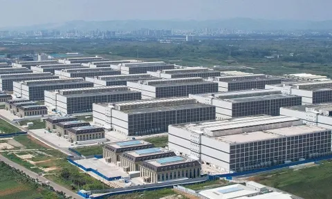 Trung Quốc khủng hoảng thừa thịt vì “chung cư nuôi lợn”