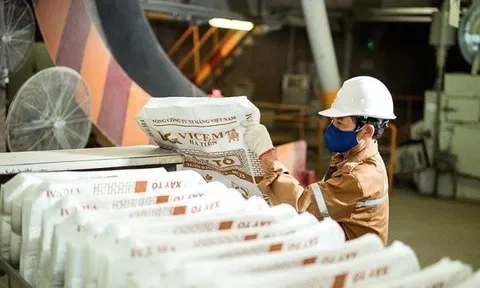 Vicem Hà Tiên bị phạt, truy thu thuế hơn 2,6 tỷ đồng