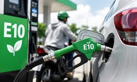 Chuyển sang xăng E10 từ 1/6/2026: Xe có bị ảnh hưởng, hao máy hay tốn xăng hơn?