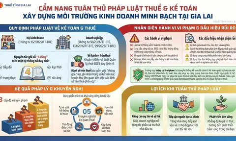 Cơ quan Thuế cảnh báo loạt hành vi vi phạm phổ biến, có thể bị xử lý hình sự
