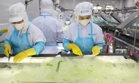 GC Food bị phạt 425 triệu đồng, lợi nhuận năm 2025 sau kiểm toán giảm hơn 62 tỷ đồng