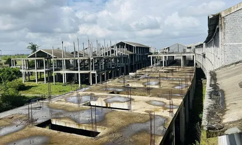 TP.HCM tuyên bố xử lý dứt điểm 838 dự án tồn đọng, khơi thông hơn 206.000 tỷ đồng vốn đầu tư trong năm 2026