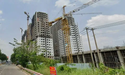 Bán 682 căn chưa đủ điều kiện, thu tiền khách tới 95%, Dream Home Riverside bị phạt 900 triệu: Mức phạt có đủ sức răn đe?