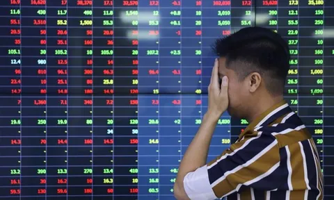 Một công ty chứng khoán lỗ quý thứ 15 liên tiếp: “Đốt tiền” triền miên, lỗ lũy kế gần 150 tỷ đồng