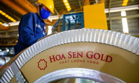 Hoa Sen chia cổ tức bằng cổ phiếu, tăng vốn điều lệ vượt 8.000 tỷ giữa lúc lợi nhuận lao dốc