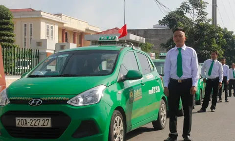 Từ “ông lớn taxi”, Mai Linh bị ngân hàng thu giữ loạt xe VinFast để xử lý nợ