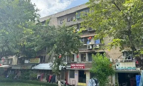 TP.HCM “thúc” cải tạo chung cư cũ: 16 khu nguy hiểm, hàng chục khu xuống cấp cần xử lý gấp