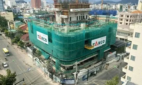 Địa ốc Tân Kỷ bị phạt vì "quên" không công bố loạt báo cáo tài chính nhiều năm, Chủ tịch HĐQT trước đó cũng dính loạt vi phạm giao dịch cổ phiếu