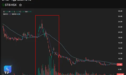 Thao túng cổ phiếu ST8 bằng 26 tài khoản, một cá nhân bị phạt 1,5 tỷ, 18 người liên quan bị cấm giao dịch