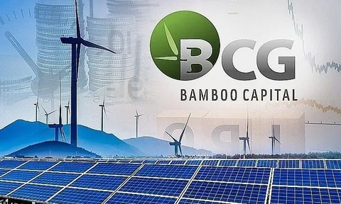 BCG “thay máu” lãnh đạo, chậm kiểm toán, lùi ĐHĐCĐ: Điều gì đang xảy ra tại Bamboo Capital?