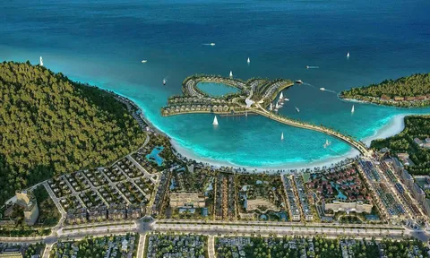 Doanh nghiệp liên quan TTC Land lãi mỏng 6,6 tỷ nhưng “ôm” nợ gần 6.800 tỷ: Toàn Hải Vân phụ thuộc lớn vào dự án ở Phú Quốc