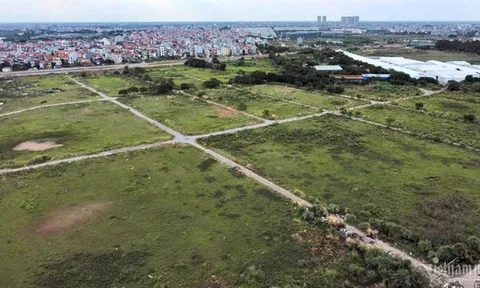 TP.HCM siết thêm điều kiện tách thửa: Cục Quản lý đất đai nói gì?