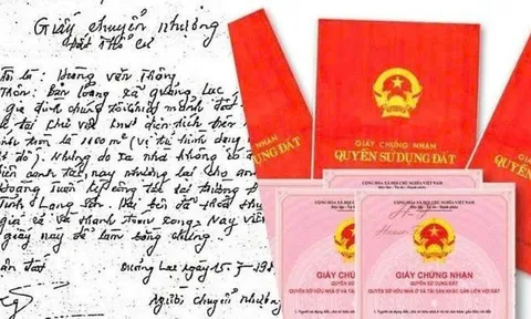 Đề xuất cấp sổ đỏ cho đất giấy tay: Hàng triệu người sắp thoát cảnh “có đất không có sổ”?
