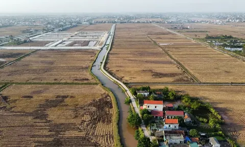 102/154 lô bị bỏ cọc sau cơn sốt đất Ninh Bình: Hội trường từng “nóng rực”, giờ nhà đầu tư tháo chạy