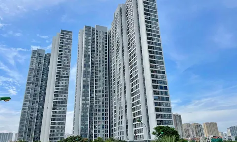 Chung cư Hà Nội bắt đầu phân hóa: Dưới 100 triệu đồng/m2 còn hút khách, giá 130-170 triệu đồng/m2 khó “xuống tiền”?