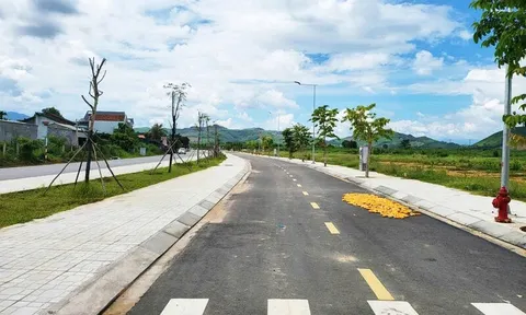 “Hét giá” gấp 7–8 lần rồi bỏ cọc: Người đàn ông ở TPHCM đấu giá trúng 16 lô đất rồi "quay xe"