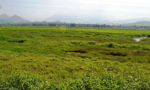 Đất bỏ hoang có thể bị đánh thuế cao hơn, nhưng dự án mắc pháp lý tính thế nào?