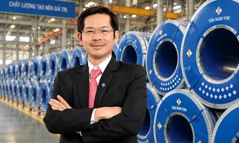 Phó chủ tịch thép Nam Kim xin rút khỏi HĐQT, lộ khoản tiền hàng trăm tỷ liên quan Phát Đạt