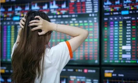 Loạt cổ phiếu “bay màu” khỏi UPCoM: HSI, NHP, PVA, NTB chính thức rời sàn