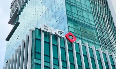 BIC hụt hơi quý đầu năm: Doanh thu bảo hiểm vẫn tăng nhưng lợi nhuận gần như “bay màu” vì bồi thường leo thang, chứng khoán lao dốc