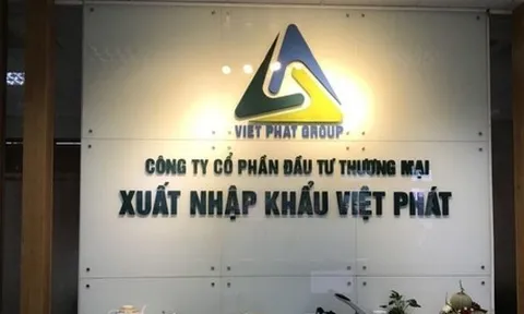 VPG lao dốc: Doanh thu “bốc hơi” 96%, nợ ngân hàng quá hạn hàng trăm tỷ, bị cưỡng chế tài khoản vì nợ thuế