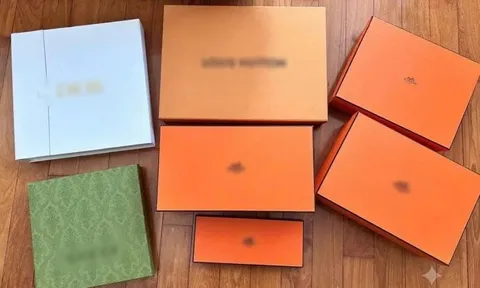 Tài xế ở Hà Nội 26 lần lẻn vào phòng ngủ bà chủ, bị cáo buộc trộm hơn 8,5 tỷ đồng hàng hiệu Hermès, Dior, Cartier