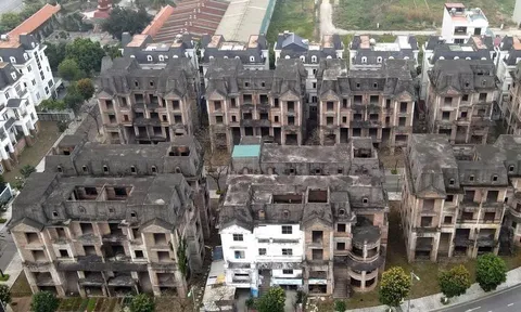 Giữ đất chờ tăng giá: Đánh thuế đất bỏ hoang 0,2% liệu có đủ sức răn đe?
