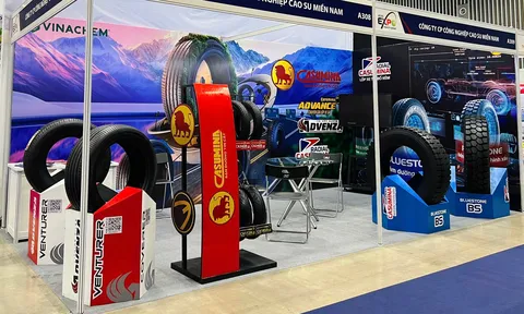 Casumina hụt chỉ tiêu 2025, lợi nhuận giảm sâu sau điều chỉnh kiểm toán