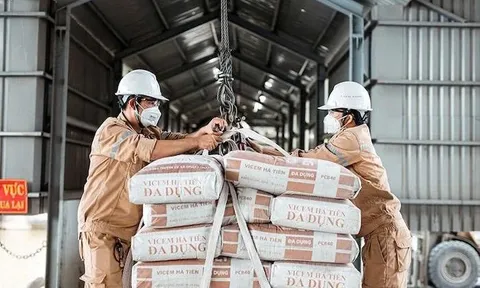 Xi măng Hà Tiên “hồi sinh” sau cú trượt: Quý I lãi gần 80 tỷ, hiếm hoi sáng cửa trong hệ Vicem