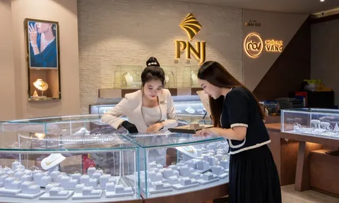 Sau sự cố liên quan kim cương, PNJ dự kiến lỗ hơn 6.000 tỷ và không chia cổ tức năm 2026