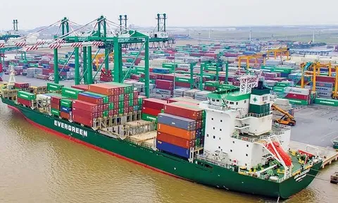Lãi vay quý II gần gấp 3 lần, Viconship tiếp tục huy động 500 tỷ đồng trái phiếu để cơ cấu nợ