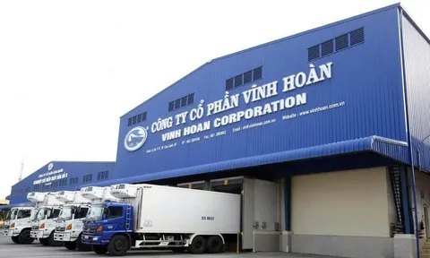 Vĩnh Hoàn đã thoái sạch vốn từ 2019, vì sao Vạn Đức Tiền Giang vẫn nằm trong “Vinh Hoan Single Entity” tại Mỹ?