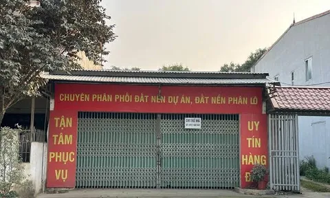 Doanh nghiệp BĐS giải thể tăng 123%: Điều gì đang xảy ra trên thị trường?