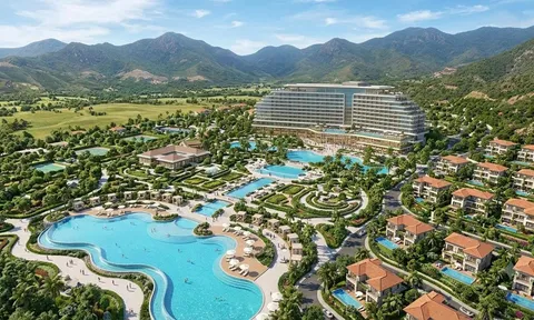 Hai dự án du lịch hơn 2.200 tỷ đồng tại Nhơn Hội: Gia Lai chuẩn bị đấu giá loạt đất lớn