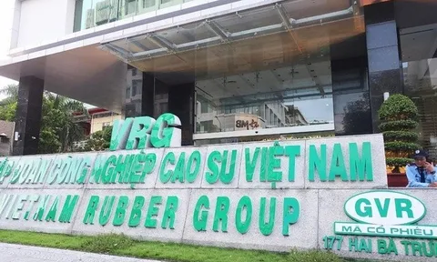 Thanh tra “điểm tên” loạt tồn tại tại GVR: Một số công ty con thua lỗ, tiềm ẩn nguy cơ mất vốn nhà nước