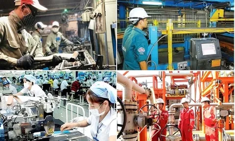 114 doanh nghiệp lãi trên 1.000 tỷ đồng năm 2025: Dòng tiền đang chảy về đâu?