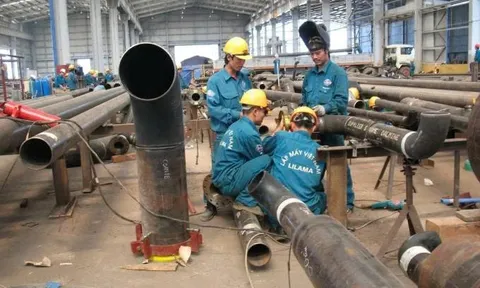 Báo động đỏ: Lilama 5 âm vốn, lỗ gần 200 tỷ, bị nghi ngờ khả năng hoạt động liên tục