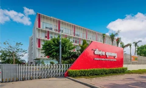 Hai năm liên tiếp bị kiểm toán ngoại trừ, cổ phiếu DQC chính thức rơi vào diện kiểm soát từ 8/4