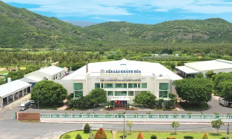 Yến sào Khánh Hòa: Doanh thu giảm, tồn kho phình to, vẫn còn gần 46 tỷ tiền lương chưa trả cho nhân viên