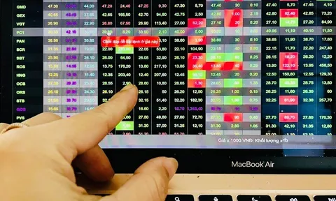 Đầu tư Châu Á – Thái Bình Dương bị phạt vì chậm công bố báo cáo tài chính kiểm toán