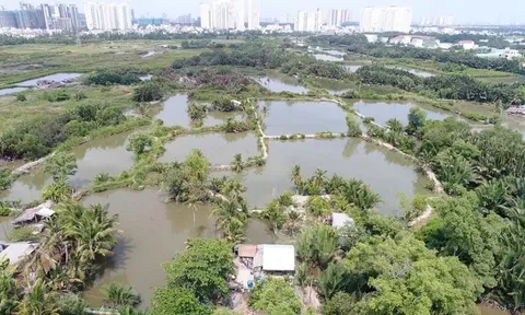 TP.HCM loại 33 khu đất gần 490 ha khỏi danh mục thí điểm nhà ở thương mại