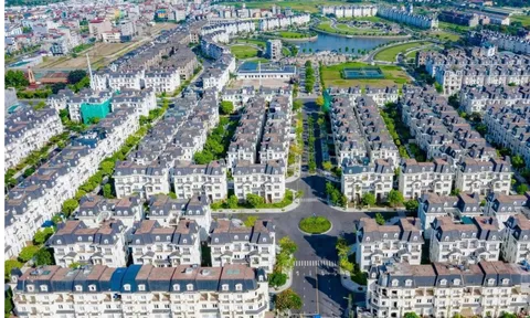 Đề xuất đánh thuế cao đất bỏ hoang: Dự án “đắp chiếu” vì vướng pháp lý có bị tính chung?
